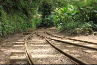        Monteverde train tour tracks 
  - Costa Rica