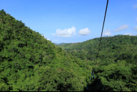        rainforest adventures landscape 
  - Costa Rica