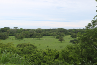        sibu sanctuary grounds 
  - Costa Rica