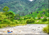        Coffee Fields View While Rafting
  - Costa Rica