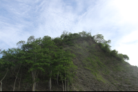 Clifftop Chora Island
 - Costa Rica