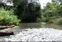        pinuelas beach attraction stream 
  - Costa Rica