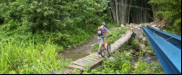 bamboo forest moutain bike tour bridge 
 - Costa Rica