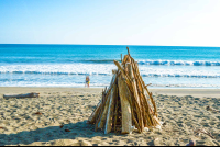 Wood Ready For A Night Fire At Carate Beach
 - Costa Rica