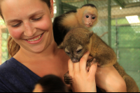        osa animal sanctuary tour page playing around 
  - Costa Rica