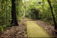        la selva main trail 
  - Costa Rica