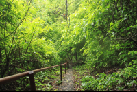        rails into reserve
  - Costa Rica