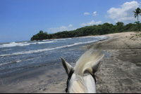 horse mane pelada
 - Costa Rica