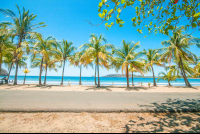 Beach Playa Carrillo Palm Tree Line
 - Costa Rica