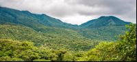 Tenorio Volcano From Platform View
 - Costa Rica