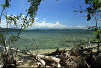 cahuita national park snorkeling hiking tour coast 
 - Costa Rica