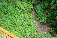 A Lady At The Bottom Of The Canyon In The Tarzan Swing Los Canones Canopy Tour La Fortuna
 - Costa Rica