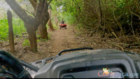 atv nosara tour fenced trail with low tree branches
 - Costa Rica