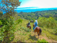 Descending The Mountain Horseback Rapelling Tour Rancho Tropical Matapalo
 - Costa Rica