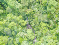 Creek Aerial View Inside Arenal Hanging Bridges Mistico Park
 - Costa Rica