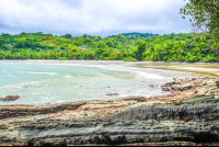 ballena national marine park pinuelas beach overall 
 - Costa Rica