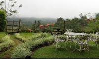 arenal palace view from restaurant 
 - Costa Rica