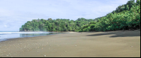        hermosa beach attraction dominical vegetation 
  - Costa Rica