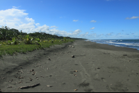 playa grande sand 
 - Costa Rica