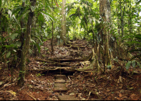        La Selva Side Trail
  - Costa Rica