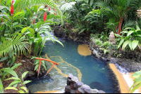        tabacon pool in shan gri la 
  - Costa Rica