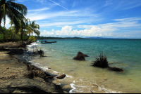 gandoca manzanillo wildlife refuge manzanillo coast 
 - Costa Rica