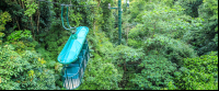        rainforest adventures aerial tram closeup 
  - Costa Rica