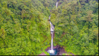         cascading waterfall gardens 
  - Costa Rica