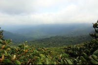        monetverde cloud forest reserve continental divide 
  - Costa Rica