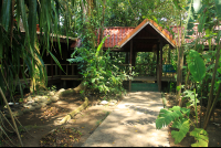 pachira lodge bungalows 
 - Costa Rica