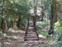        Gandoca Manzanillo Wildlife Refuge Bridge Over Marsh
  - Costa Rica