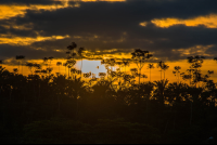 Sunset In Sierpe
 - Costa Rica