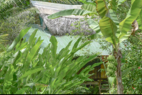 Cabin Front At Finca Exotica Carate
 - Costa Rica