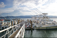 Crocodile Bay Resort Pier With Boats
 - Costa Rica