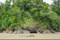        ventanas beach attraction vegetation 
  - Costa Rica