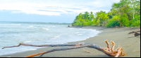 Beach At Sirena Ranger Station
 - Costa Rica