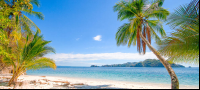        Playa Quesera Beach With View Of Tortuga Island
  - Costa Rica