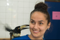 Toucan In The Clinic Of Parque Simon Bolivar San Jose
 - Costa Rica