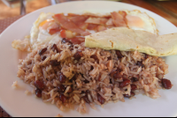 Gallo Pinto Close Up
 - Costa Rica