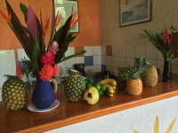 Fresh Fruits On Counter Sol Samara
 - Costa Rica