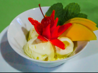 Ice Cream Garnished With Fruit Agua Dulce Resort
 - Costa Rica