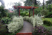 paradise hotsprings walking into gardens 
 - Costa Rica