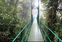        skywalk hangingbridge 
  - Costa Rica