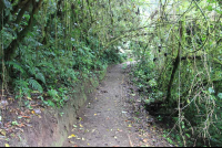        skywalk on trail 
  - Costa Rica