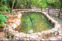 View Of Cement Pool With A Fence Hot Springs Pools Rincon De La Vieja
 - Costa Rica