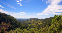        mountain monteverde cloud forest reserve 
  - Costa Rica