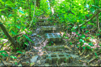 Trail Steps
 - Costa Rica