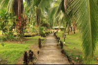 pizote lodge path 
 - Costa Rica