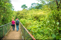 People Crossing A Cement Bridge During The Celeteste River Waterfall Tour
 - Costa Rica