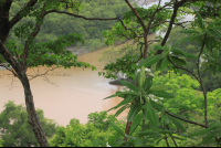        top of  nosara biological reserve
  - Costa Rica